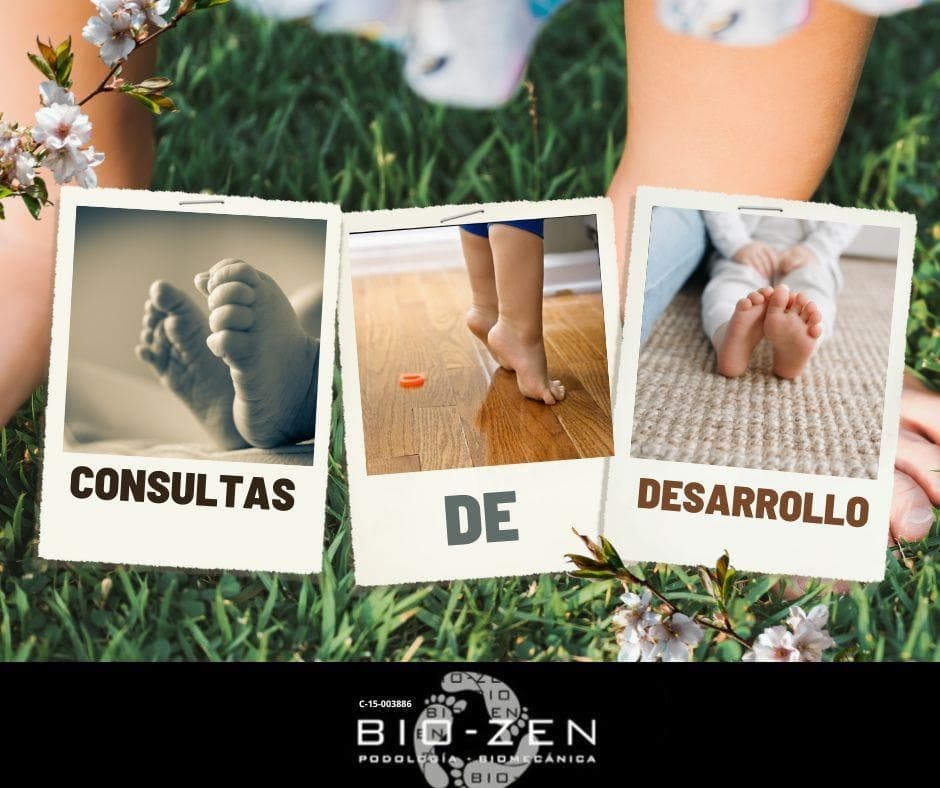 ¿En que consisten nuestras consultas de desarrollo?